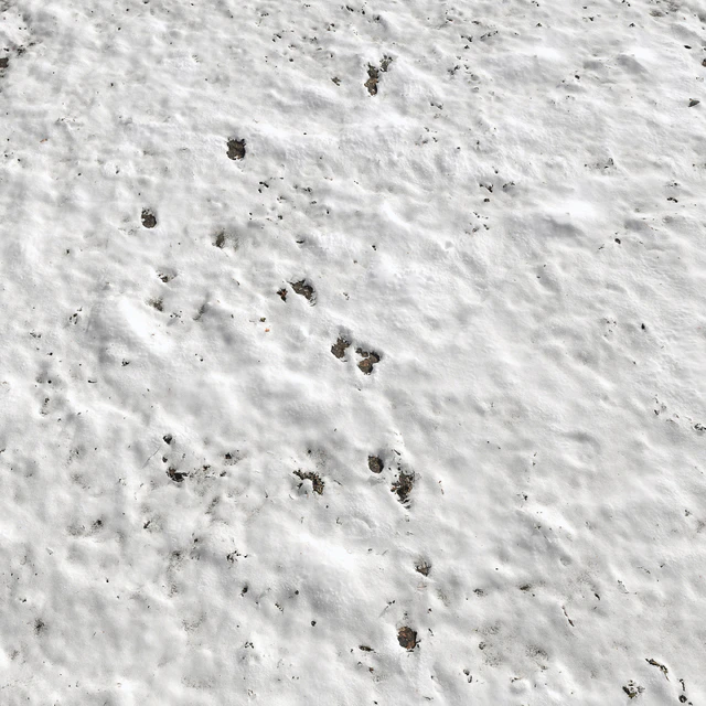 Snow — Descargar