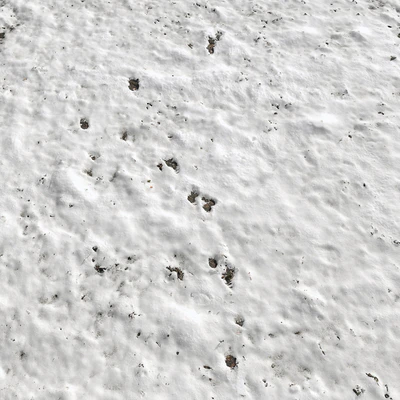 Snow — Ver 4