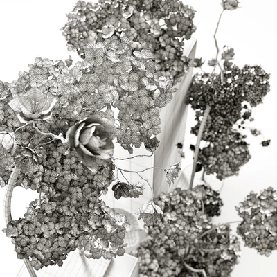 Floral installation — Ver 3