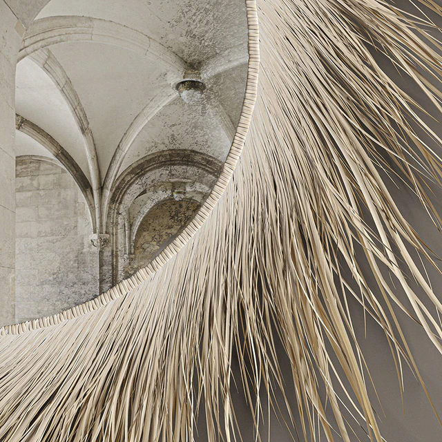Mirror Dry Grass — Скачать