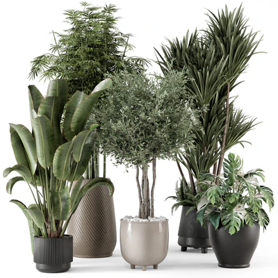 Indoor Plants in Ferm Living Bau Pot Large - Set 1325 — Ver 1