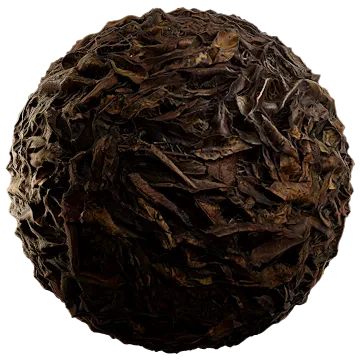 moist fallen leaves 004 — Скачать