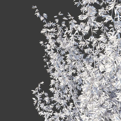 Forsythia Medium / Forsythia intermedia — Ver 2