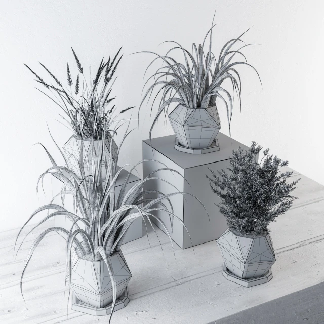 Plants and Pot Decor — Скачать