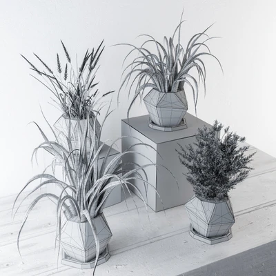 Plants and Pot Decor — Вид 3