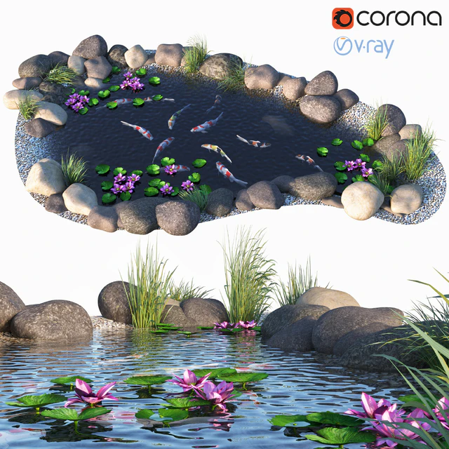Water - Koi fish — Descargar