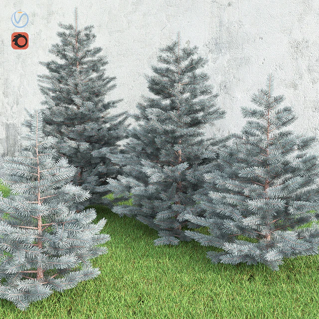 Spruce — Скачать
