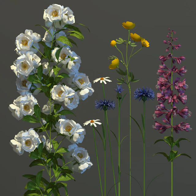 Bouquet of wildflowers — Descargar