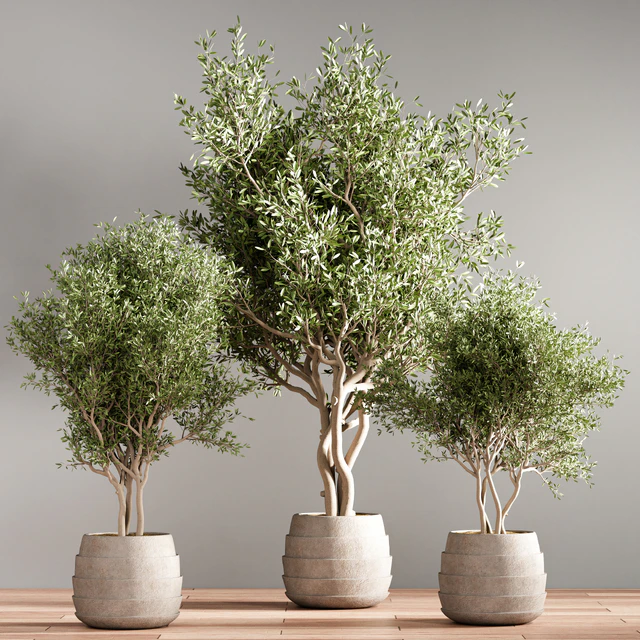 indoor plant stand 40 — Descargar