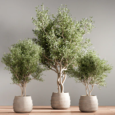 indoor plant stand 40 — Ver 3