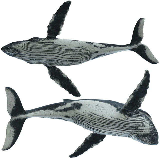 Горбатый кит (Humpback whale) — Скачать