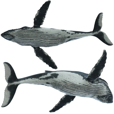 Горбатый кит (Humpback whale) — Вид 5