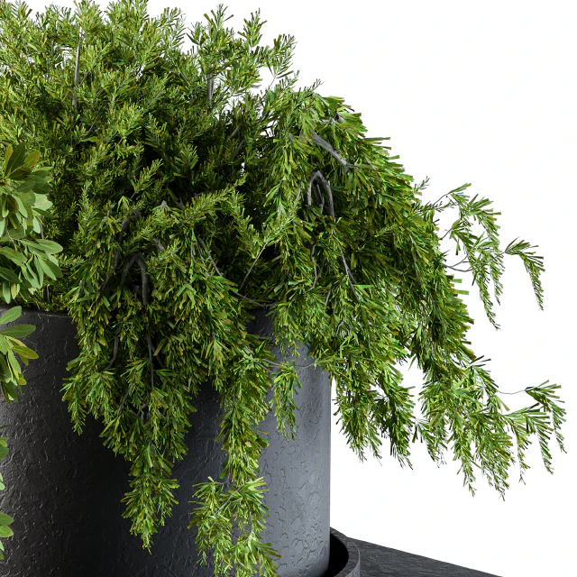 Plants set 47 — Скачать