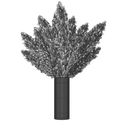 Pampas — Ver 2
