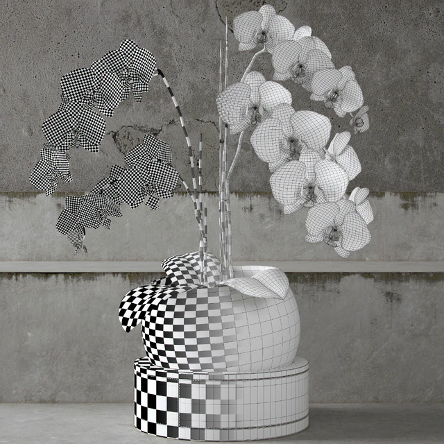 Orchid ART Auctor — Descargar