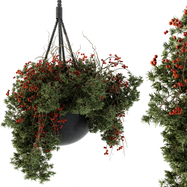 Hanging Pot plant - Set 102 — Descargar
