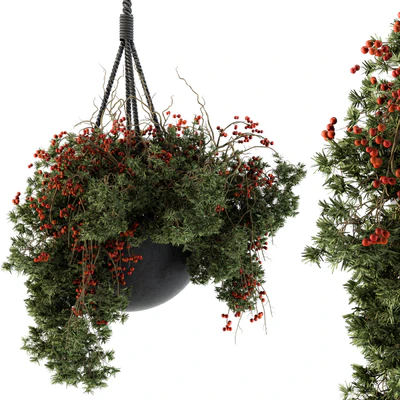 Hanging Pot plant - Set 102 — Ver 1