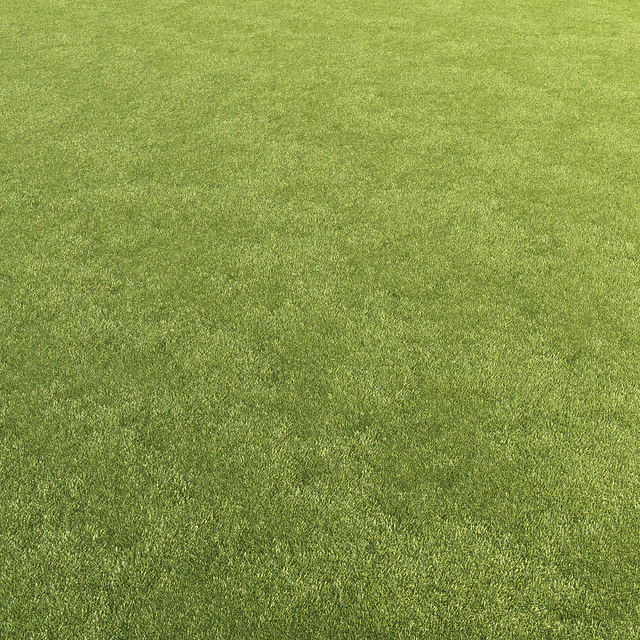 Lawn grass — Descargar