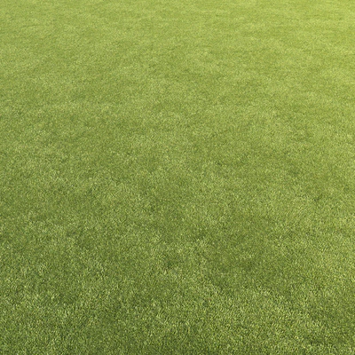 Lawn grass — Ver 5