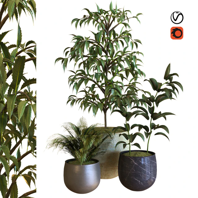 plant in box set 040 — Скачать