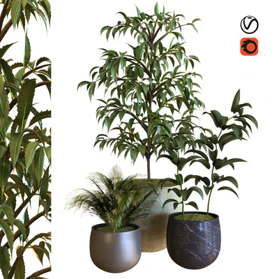 plant in box set 040 — Вид 1