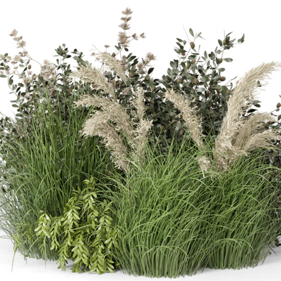 Outdoor Plants Bush-Bush Set 724 — Ver 5