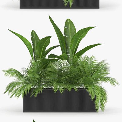 Flowerbed Palm Two — Ver 3