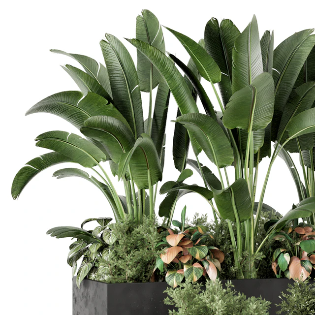 Outdoor Garden set Bush and Tree - Garden Set 1144 — Descargar