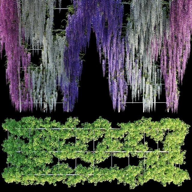 Arch with Wisteria — Descargar