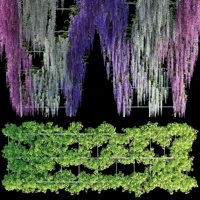 Arch with Wisteria — Ver 4