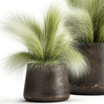 Collection of plants of fluffy bushes in outdoor pots Grass grass, hummock. Set 908. — Ver 5