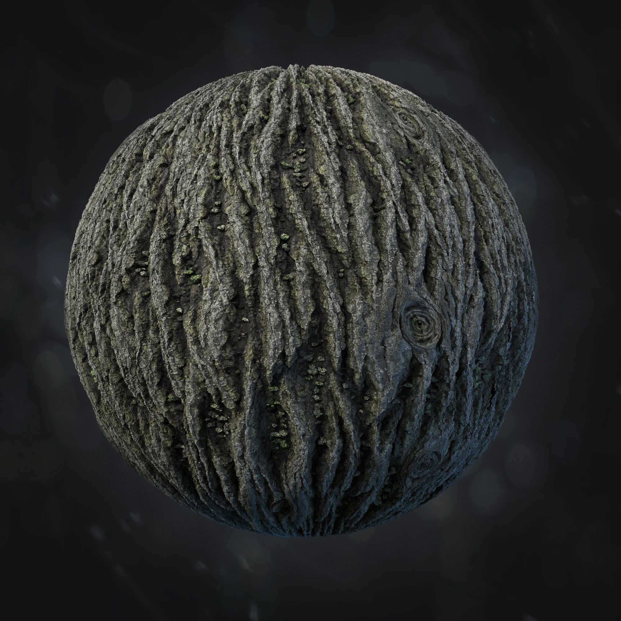 tilia bark 015 — Скачать