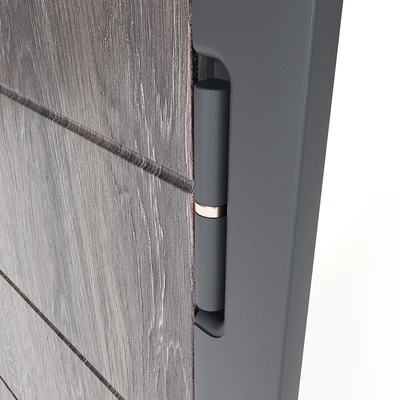Modern entrance door 2 — Ver 4