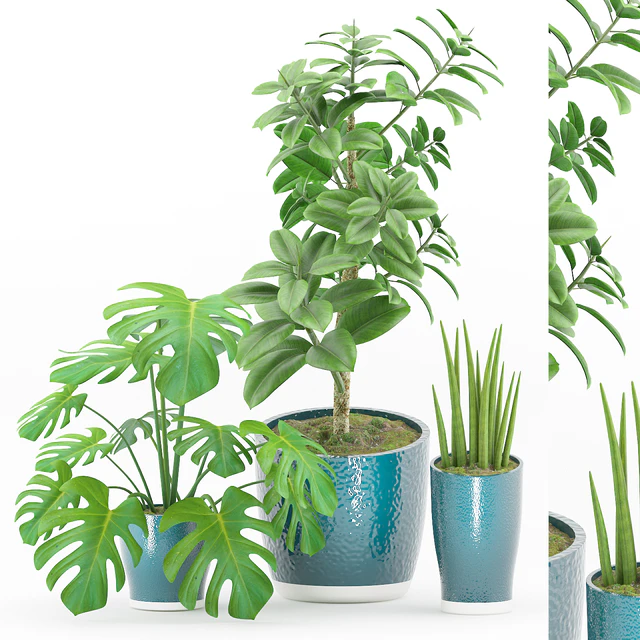 Plant 43 — Скачать
