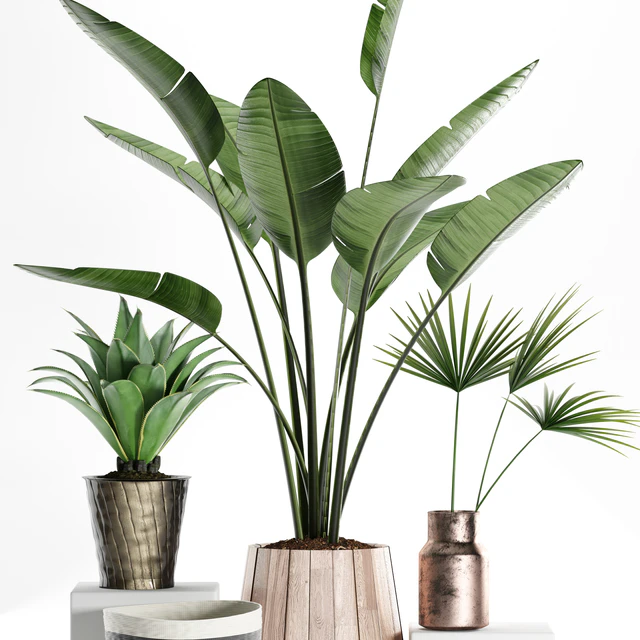 PLANTS 160 — Скачать