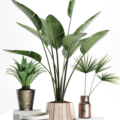 PLANTS 160 — Вид 2