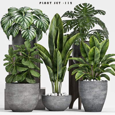 plant set-112 — Вид 1