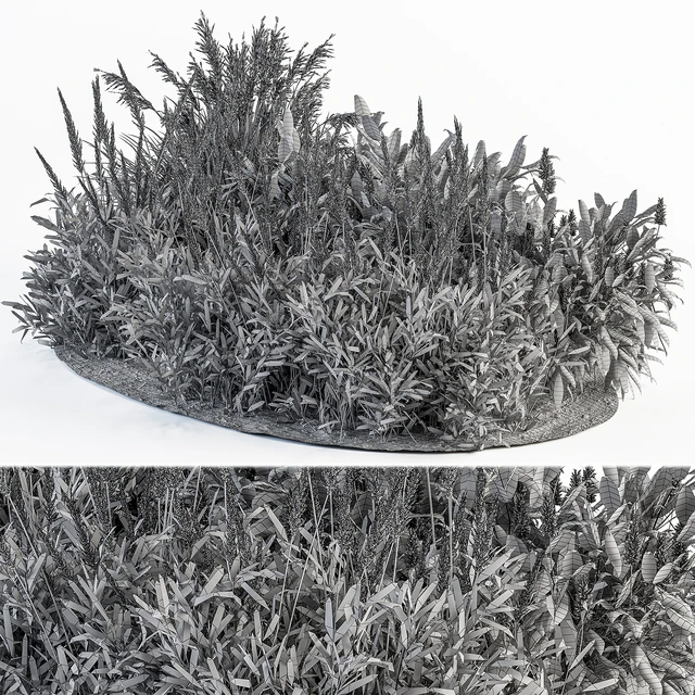 Garden Set Lavender Bush Plants - Outdoor Plants Set 413 — Скачать
