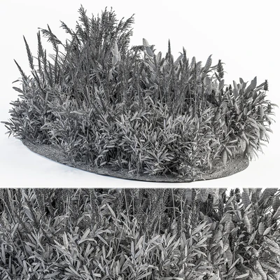 Garden Set Lavender Bush Plants - Outdoor Plants Set 413 — Вид 3