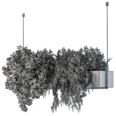 Hanging box plant - Set 70 — Ver 5