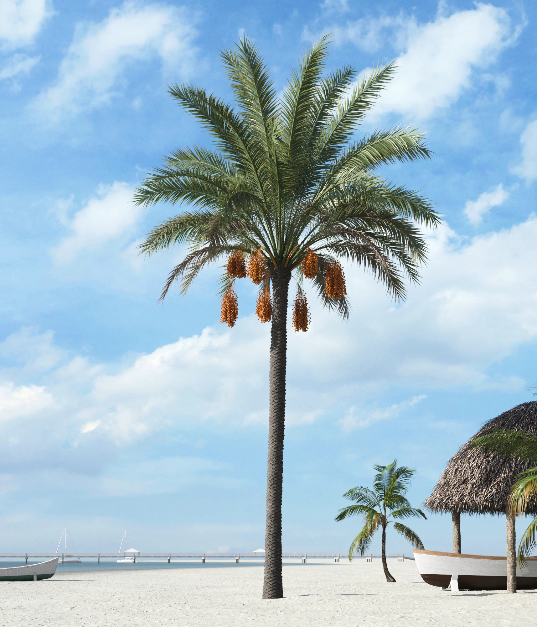 palm trees 020 — Скачать
