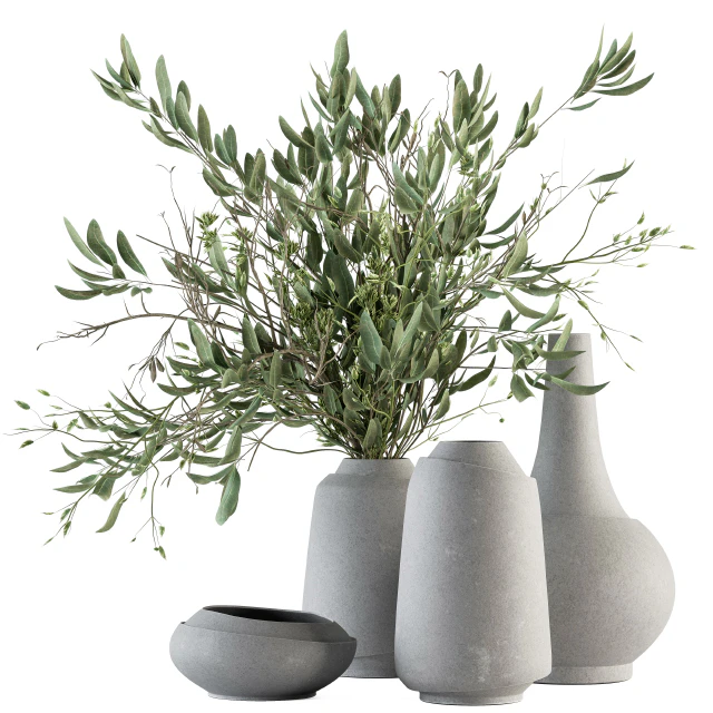 Vase and Plant Decorative Set - Set 81 — Скачать