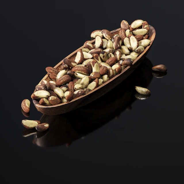 Brazilian nut — Descargar