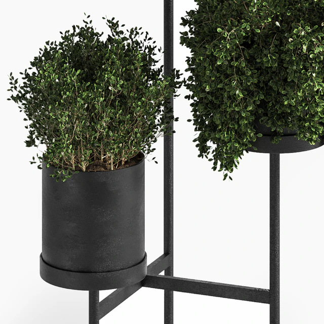 Indoor Plant Set 03 — Descargar