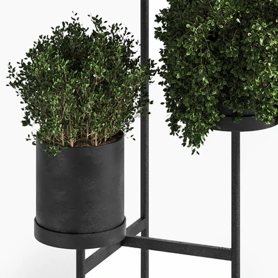 Indoor Plant Set 03 — Ver 3