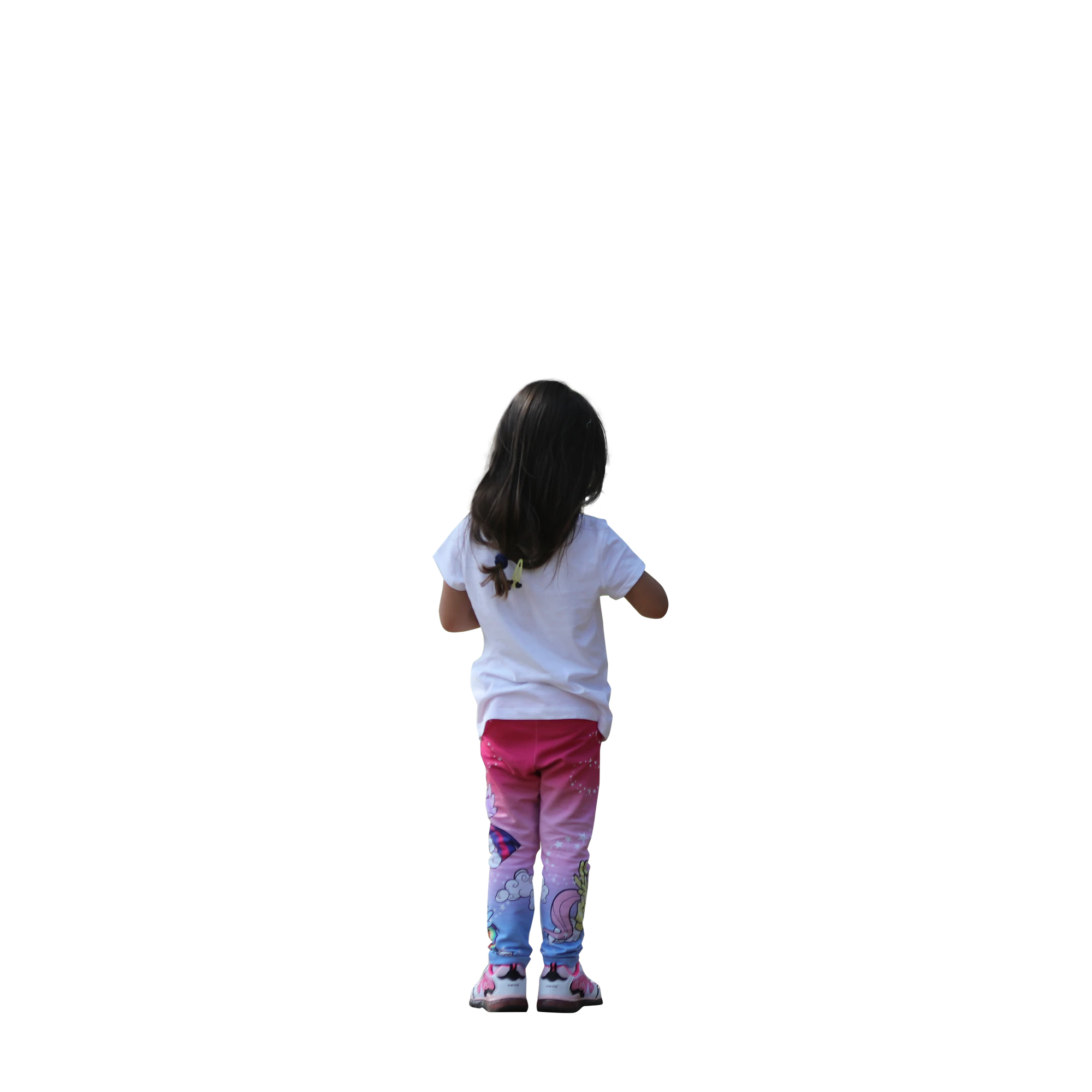 3302 — Descargar