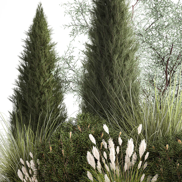 Alpine hill olive, pine, reed, thuja and cypress, feather grass grass, silver goof. Plant collection 1188 — Descargar