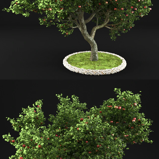 Apple Tree — Скачать