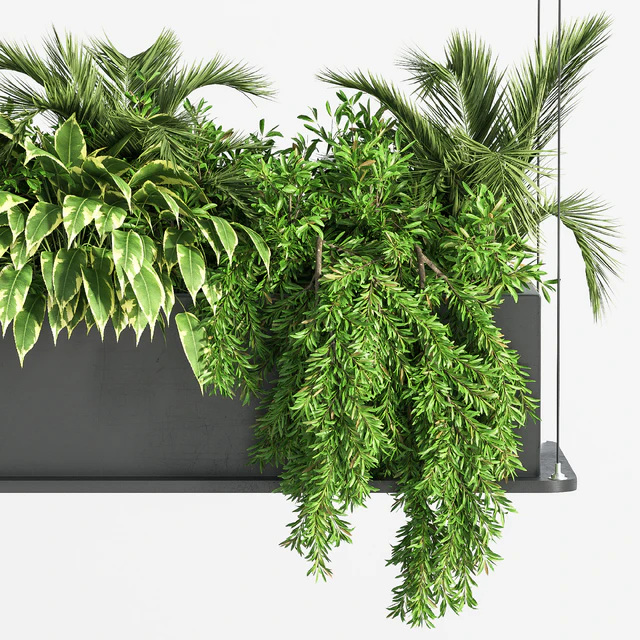 Indoor Plant Set 32  (Hanging Plants) — Descargar