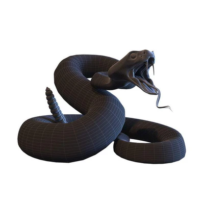 Rattlesnake — View 3